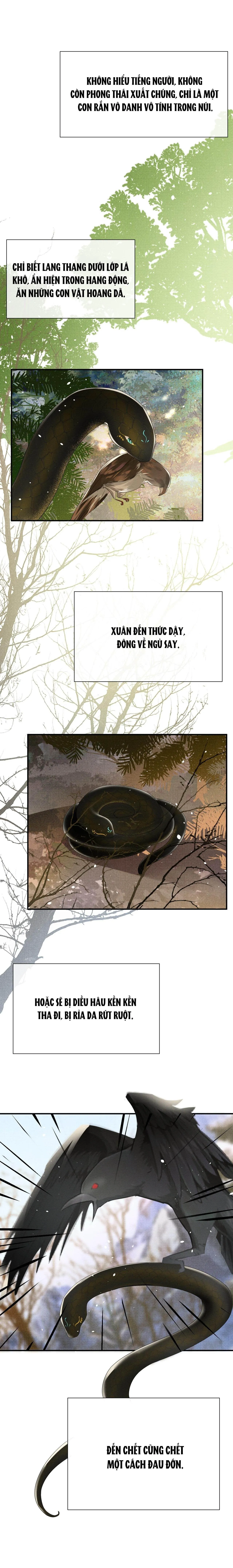 Ngộ Xà (END) Chapter 86 Trang 6