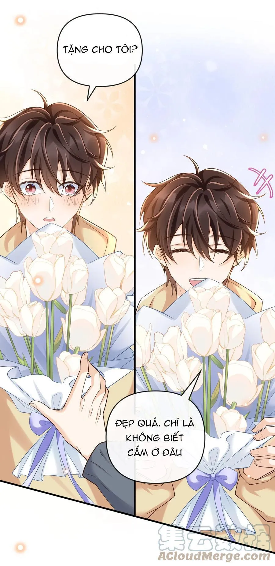 Ngoài Vòng Pháp Luật Chapter 19 Trang 7