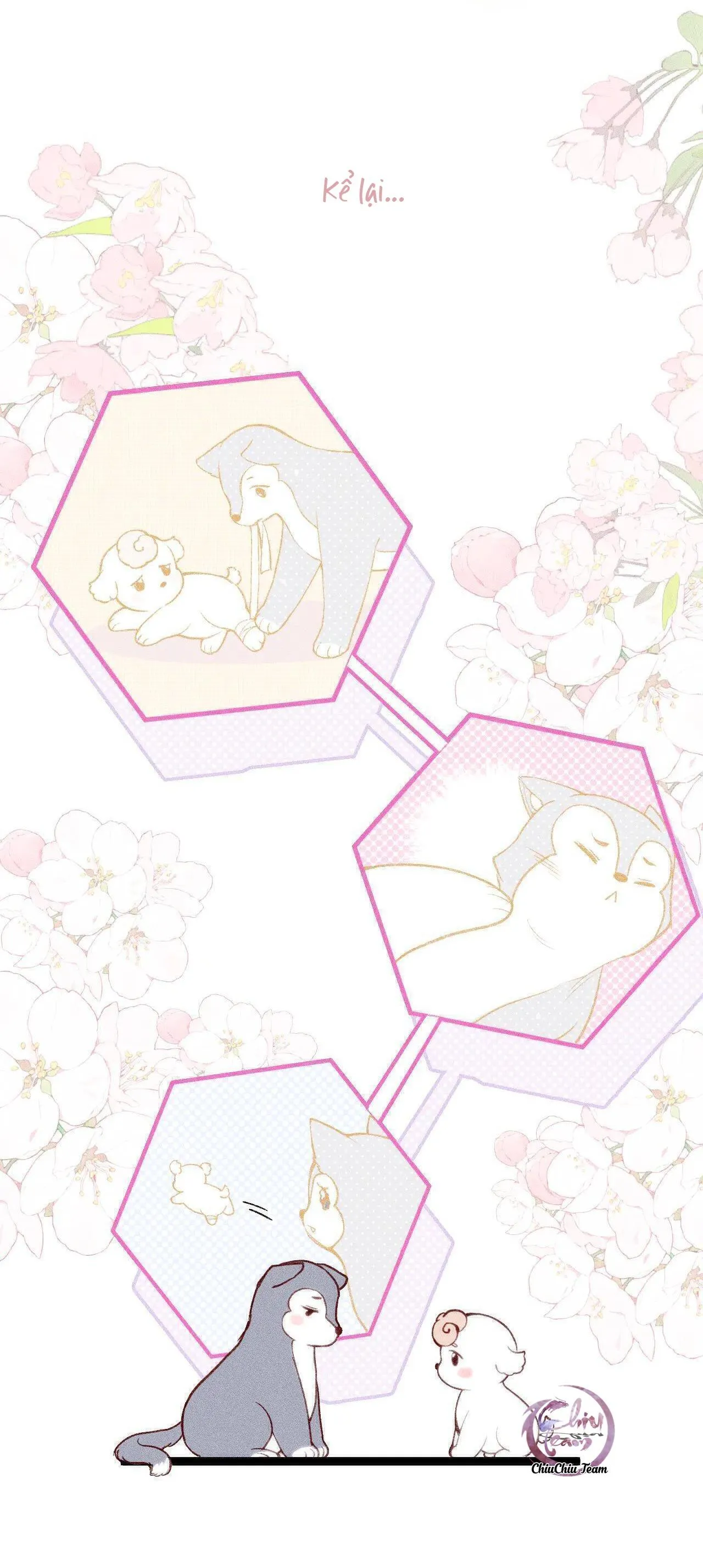 Ngốc Nghếch Đáng Yêu Chapter 8 Trang 17