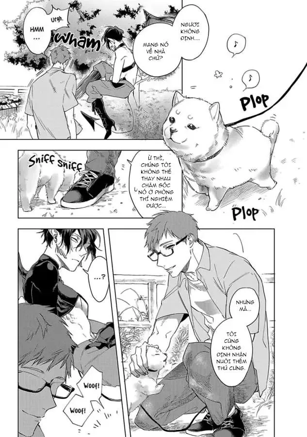 Ngợi ca ngài succubus Chapter 3 Trang 3