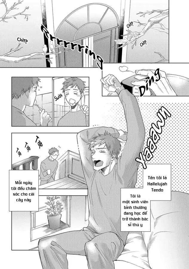 Ngợi ca ngài succubus Chapter 6 Trang 11