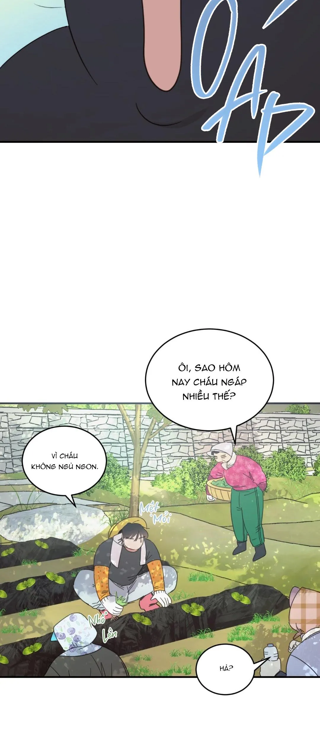 NGÔI NHÀ HƯỚNG MẶT TRỜI MỌC Chapter 25 Trang 15