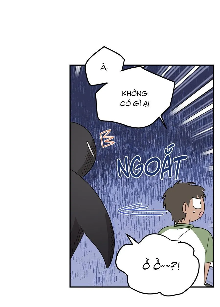 NGÔI NHÀ HƯỚNG MẶT TRỜI MỌC Chapter 48 Trang 13