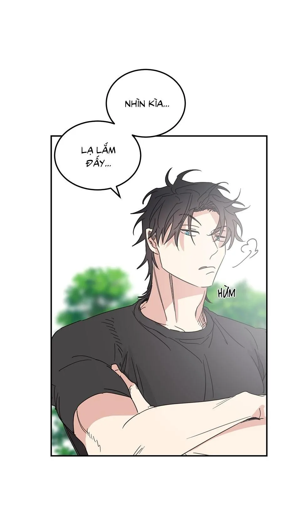 NGÔI NHÀ HƯỚNG MẶT TRỜI MỌC Chapter 48 Trang 16