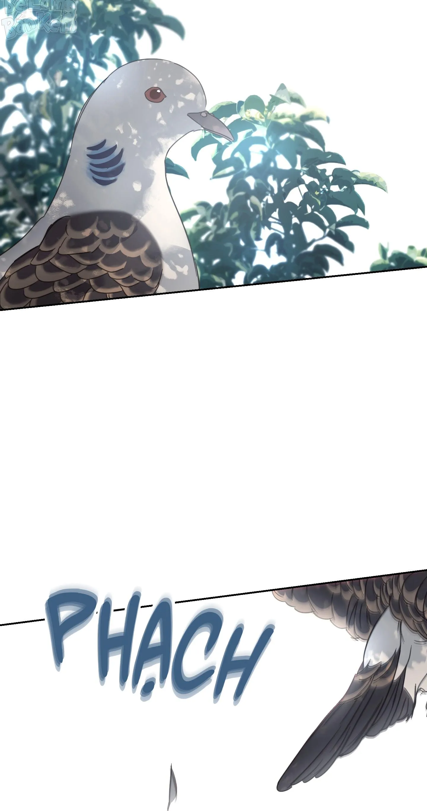 NGÔI NHÀ HƯỚNG MẶT TRỜI MỌC Chapter 59 Trang 3