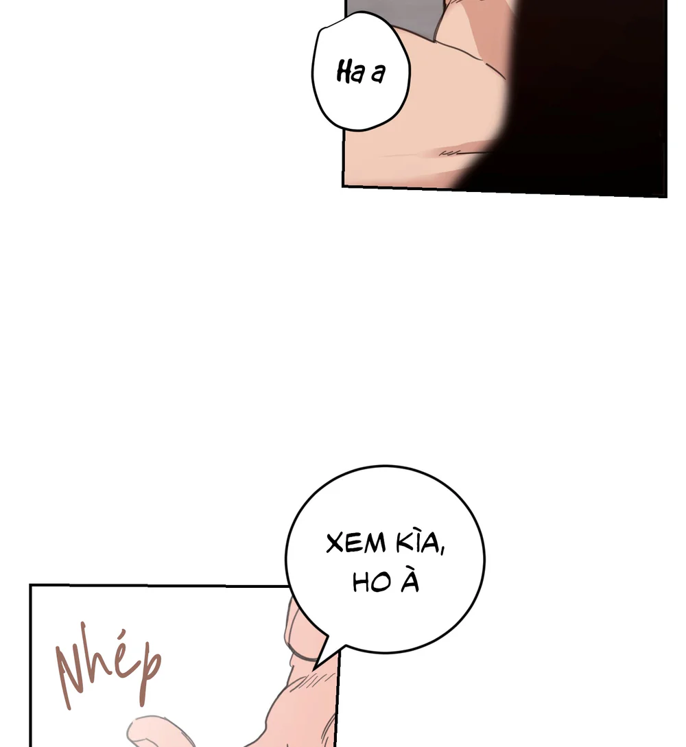 NGÔI NHÀ HƯỚNG MẶT TRỜI MỌC Chapter 67 Trang 24