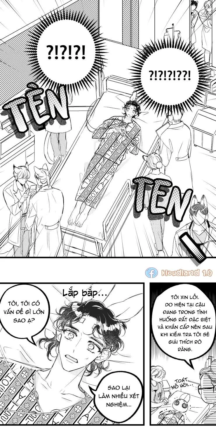 Ngôi nhà tình yêu Pokssinmalrang Chapter 3 Trang 17