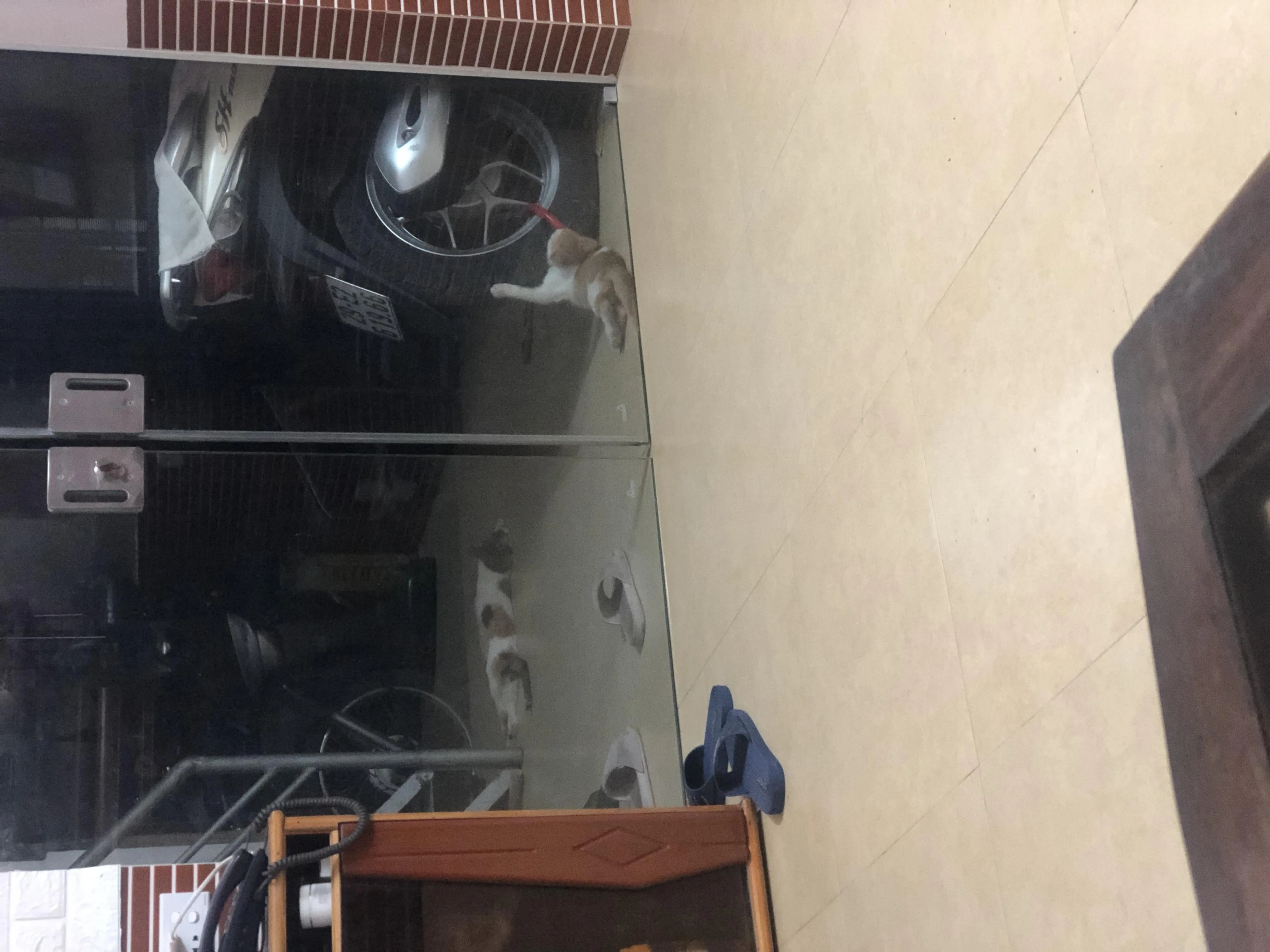 Ngôi nhà tình yêu Pokssinmalrang Chapter 8 Trang 19