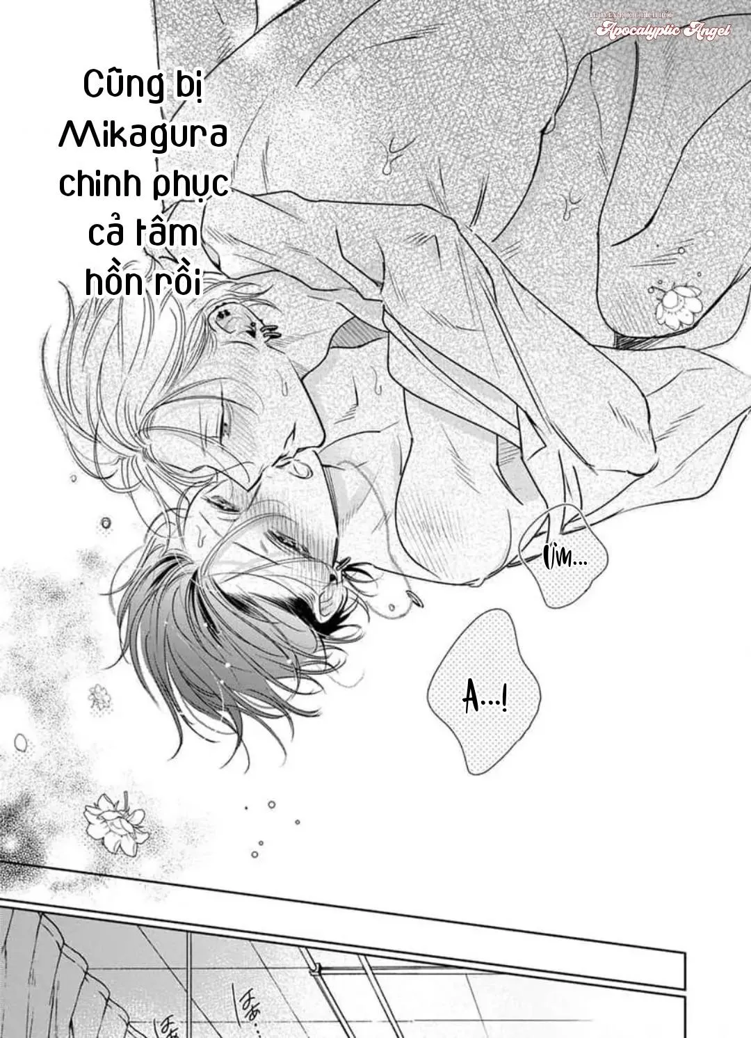 Ngọn Giáo Bất Bại VS Tấm Khiên Bất Phá Chapter 5 Trang 25