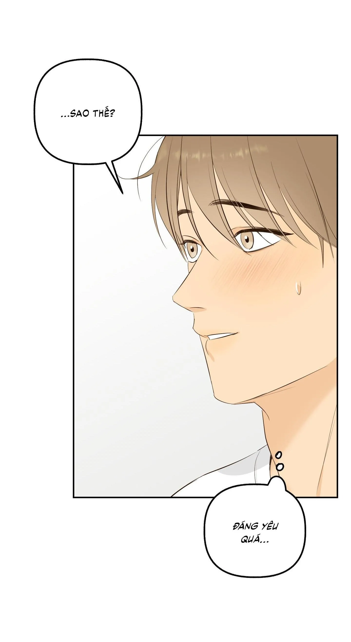 Ngọn Gió Dịu Dàng Chapter 4 Trang 48