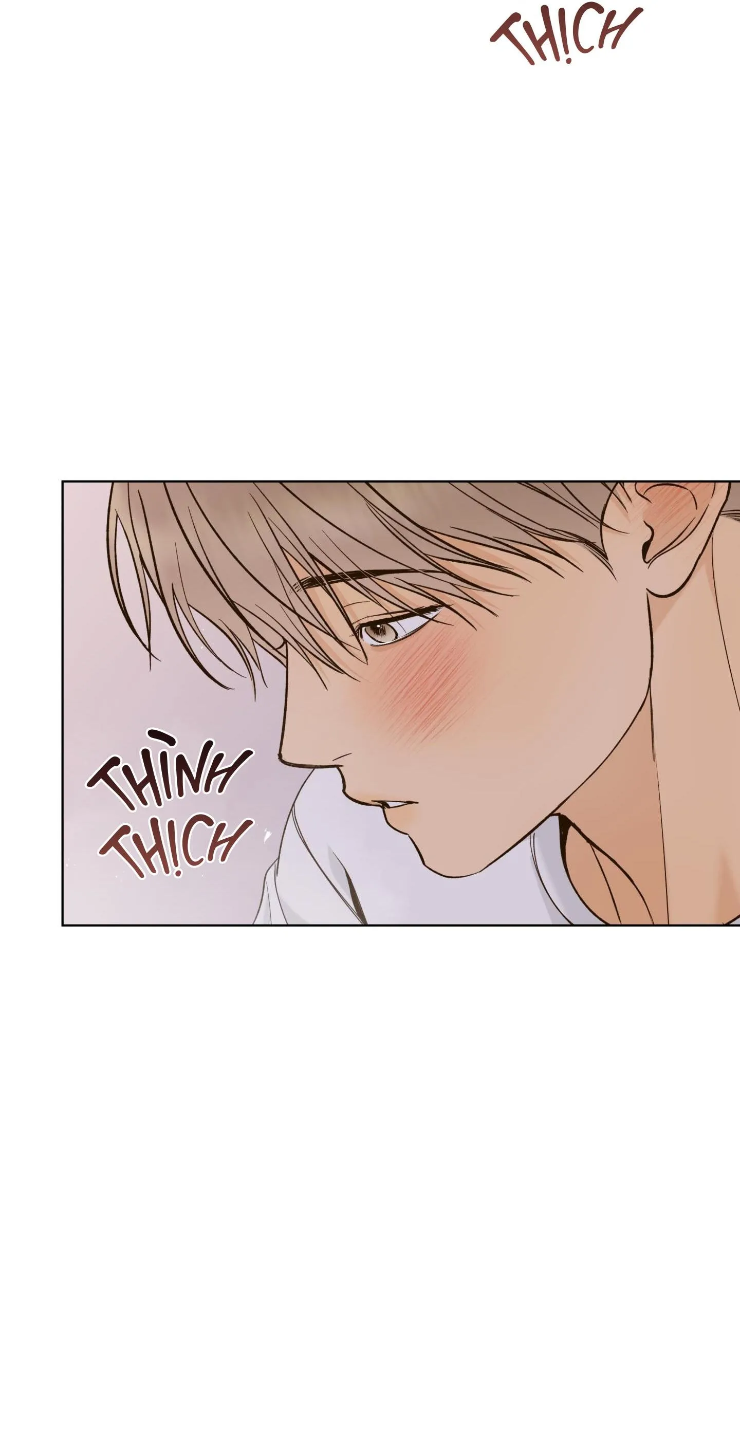 Ngọn Gió Dịu Dàng Chapter 19 Trang 5