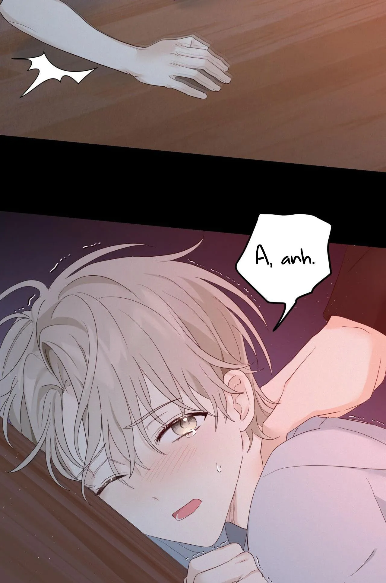 NGỌT NGÀO NÀY ĐỀU LÀ THẬT SAO? Chapter 5 Trang 5