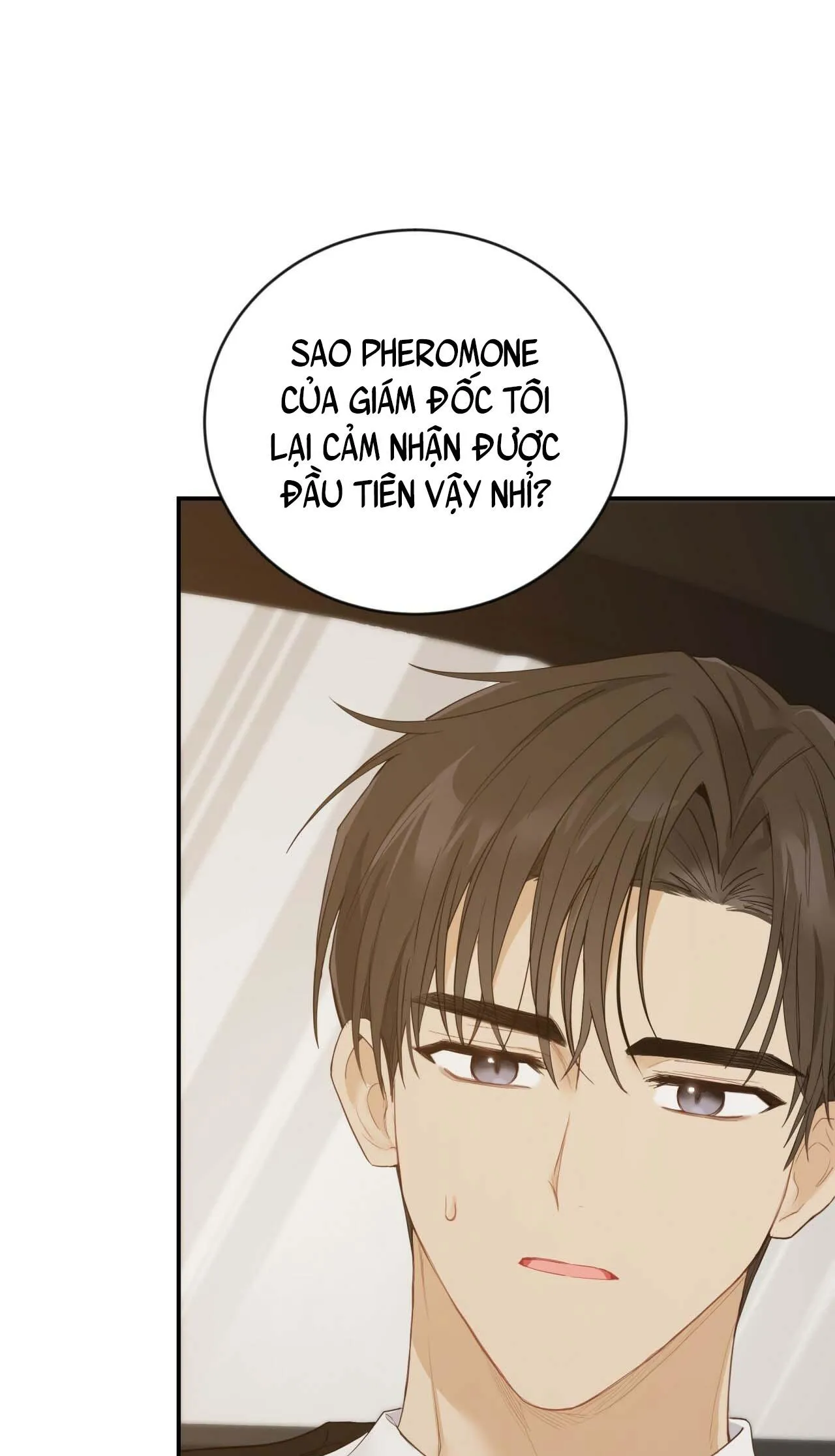 NGỌT NGÀO NÀY ĐỀU LÀ THẬT SAO? Chapter 10 Trang 22