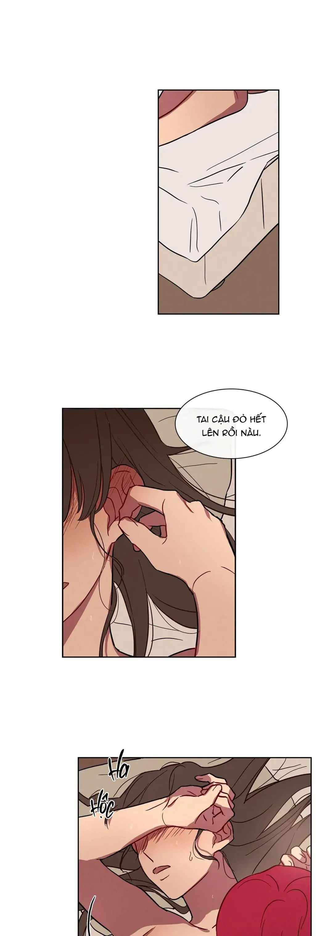 NGỦ NGON NHÉ, LỌ LEM Chapter 35 Trang 4