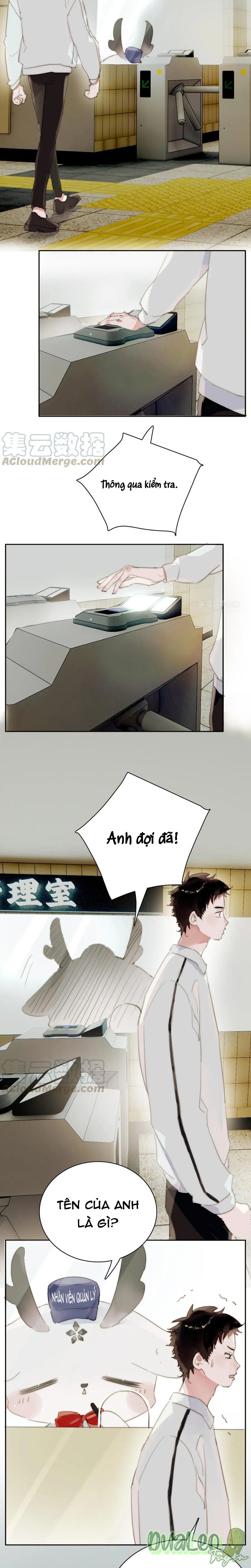 Ngủ Trong Cuốn Sách Của Anh Chapter 14 Trang 8