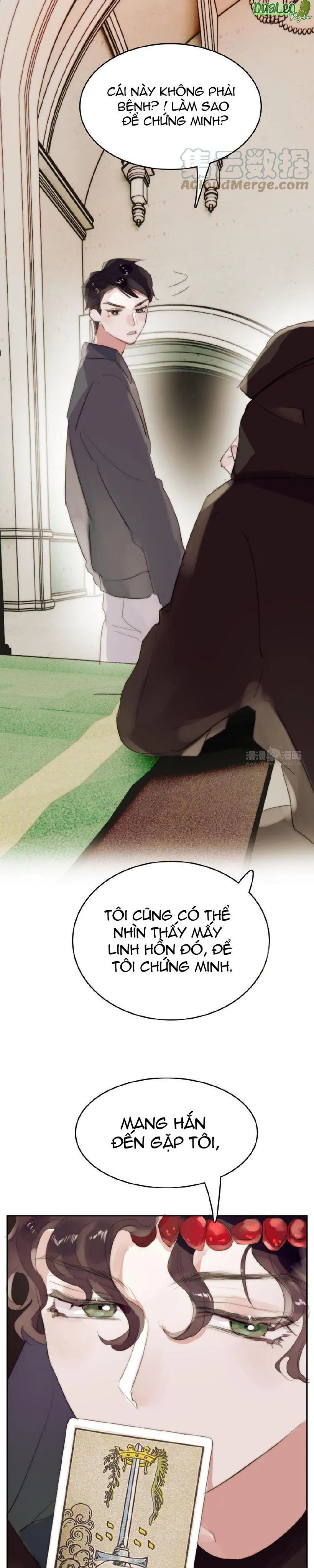 Ngủ Trong Cuốn Sách Của Anh Chapter 20 Trang 11