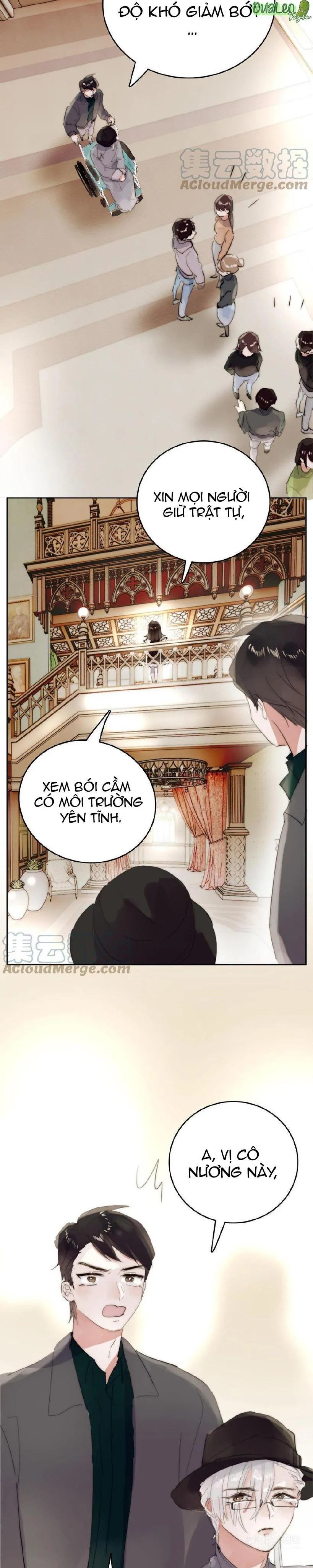 Ngủ Trong Cuốn Sách Của Anh Chapter 20 Trang 19