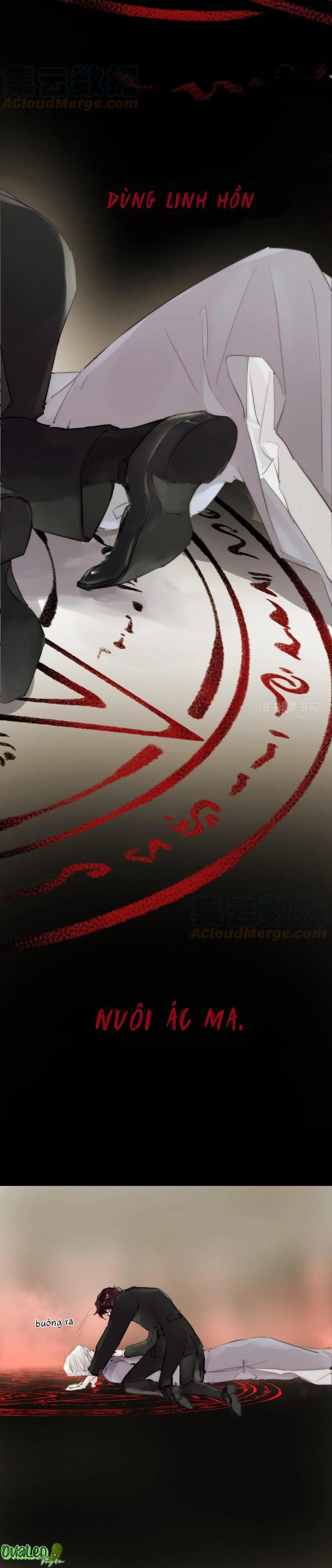 Ngủ Trong Cuốn Sách Của Anh Chapter 22 Trang 11