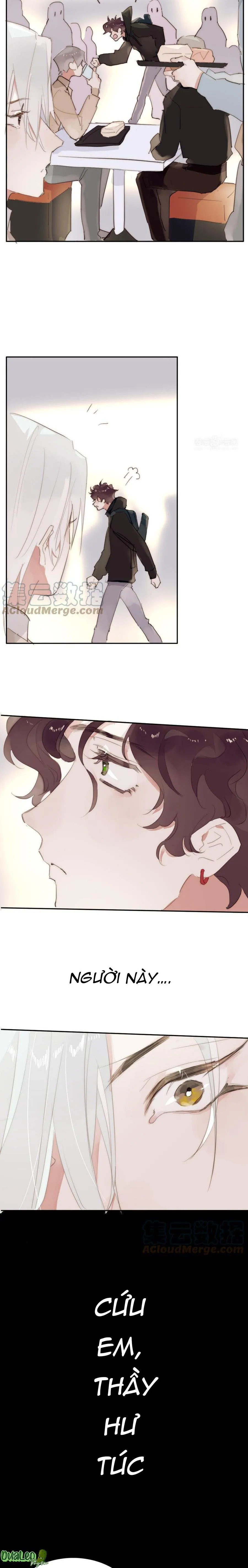 Ngủ Trong Cuốn Sách Của Anh Chapter 25 Trang 11