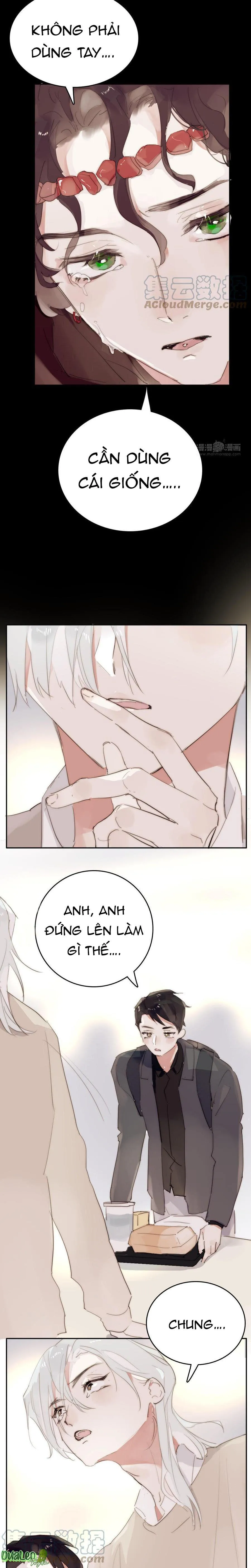 Ngủ Trong Cuốn Sách Của Anh Chapter 25 Trang 12