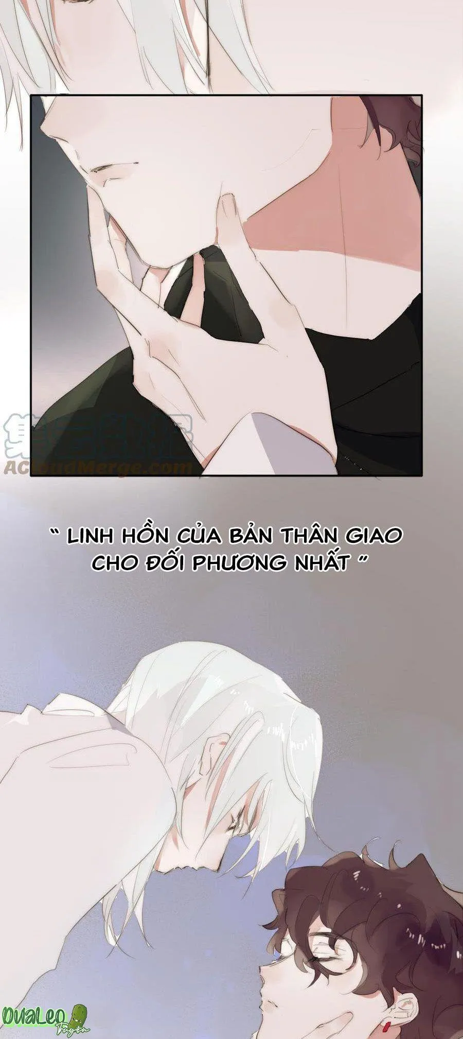 Ngủ Trong Cuốn Sách Của Anh Chapter 28 Trang 12