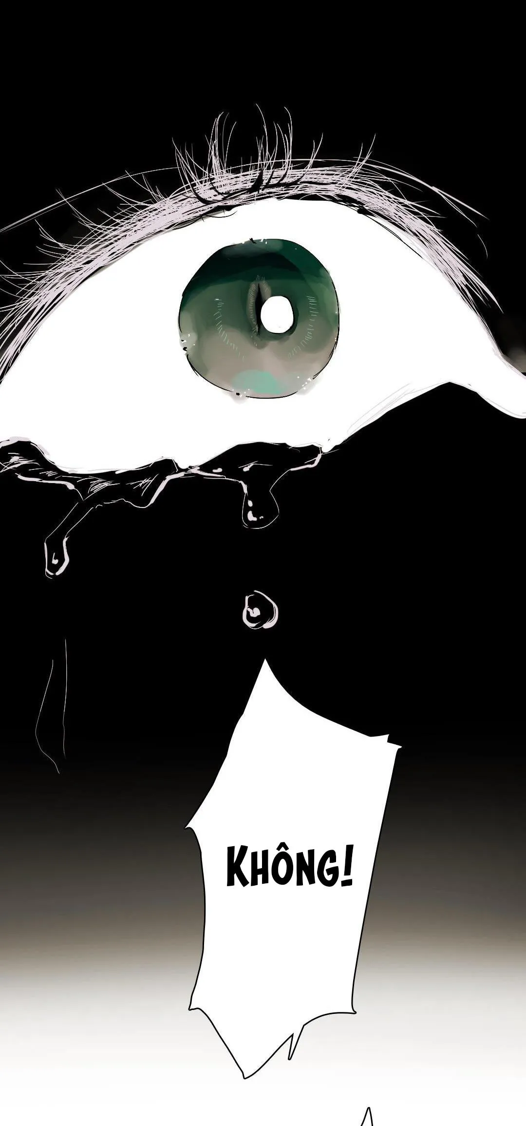 Ngủ Trong Cuốn Sách Của Tôi Chapter 4 Trang 5