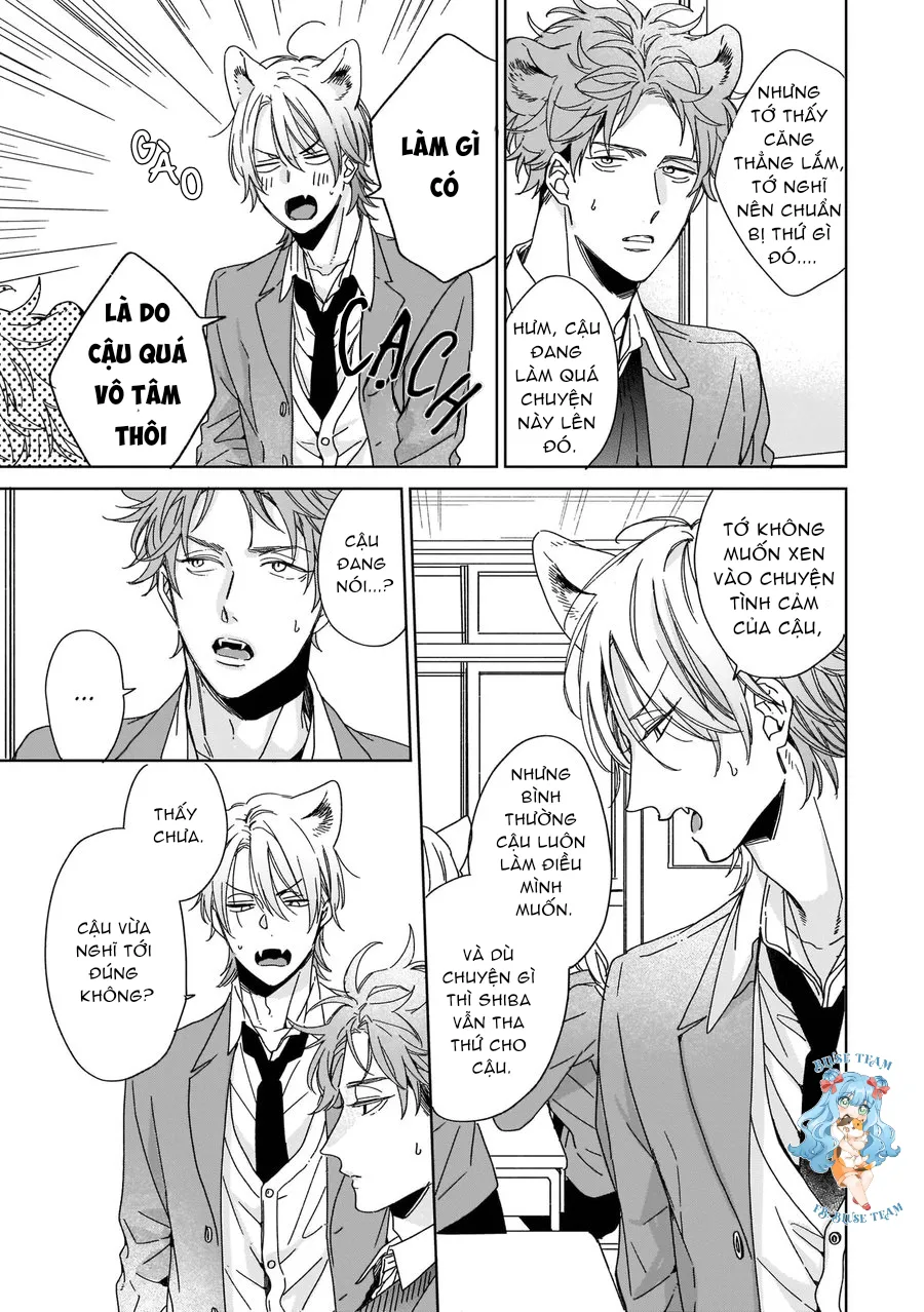 Full Ngựa Thuần Chủng Sẽ Không Từ Bỏ Chapter 2 Trang 5