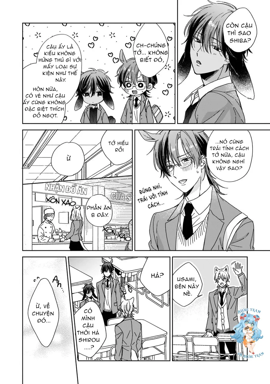 Full Ngựa Thuần Chủng Sẽ Không Từ Bỏ Chapter 2 Trang 16