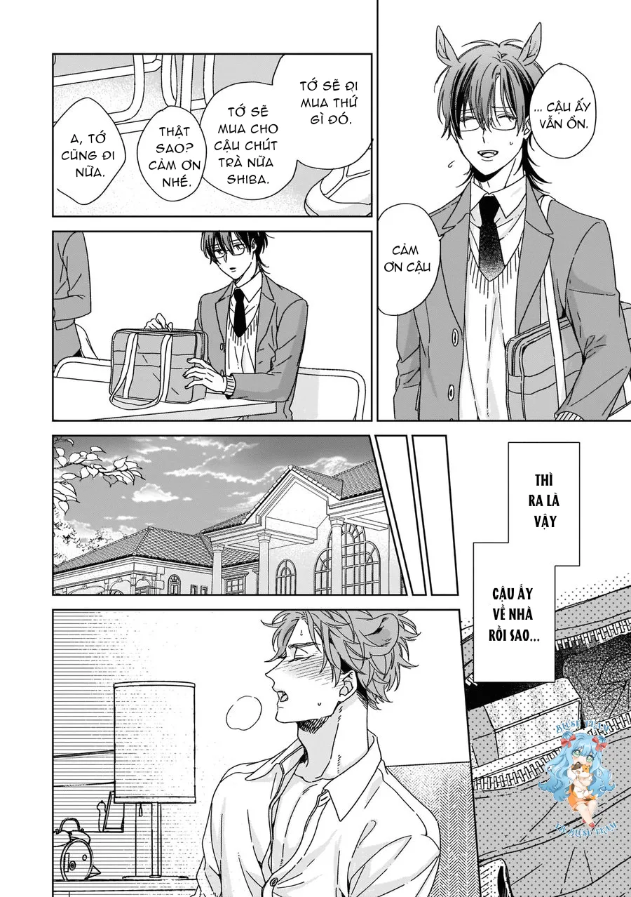 Full Ngựa Thuần Chủng Sẽ Không Từ Bỏ Chapter 2 Trang 18