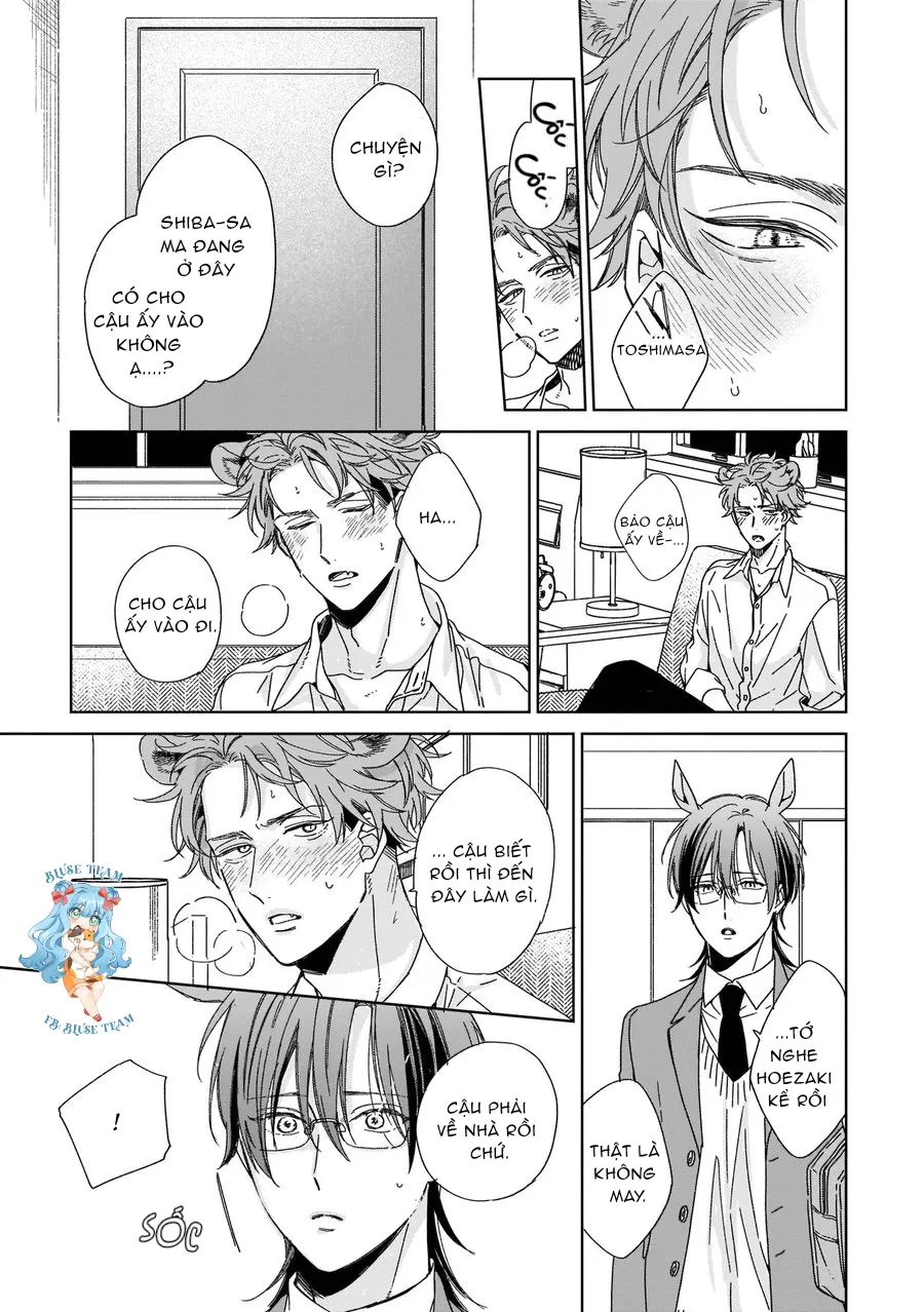 Full Ngựa Thuần Chủng Sẽ Không Từ Bỏ Chapter 2 Trang 19