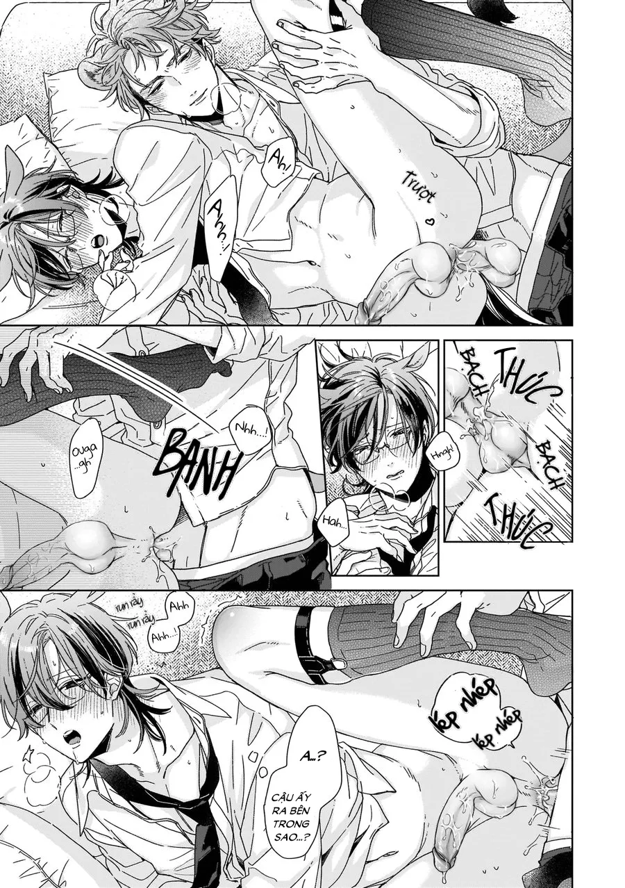 Full Ngựa Thuần Chủng Sẽ Không Từ Bỏ Chapter 2 Trang 25