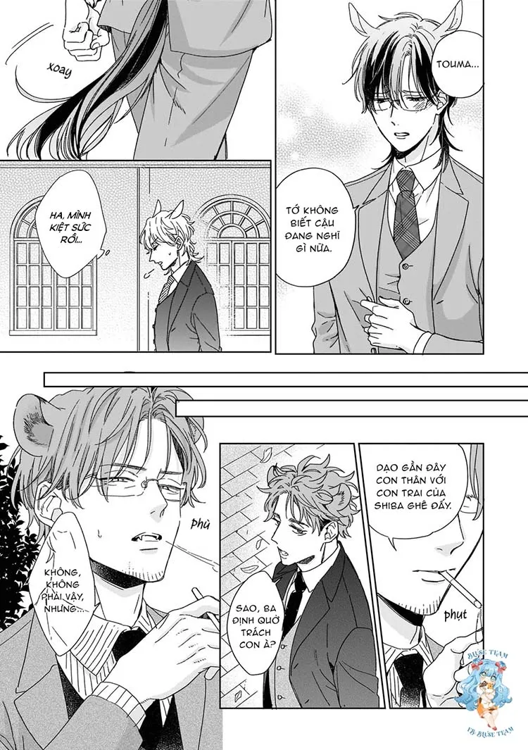 Full Ngựa Thuần Chủng Sẽ Không Từ Bỏ Chapter 4 Trang 18