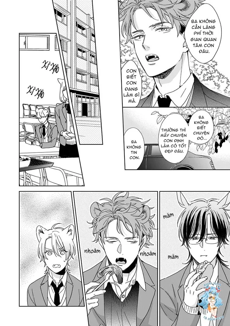 Full Ngựa Thuần Chủng Sẽ Không Từ Bỏ Chapter 4 Trang 19