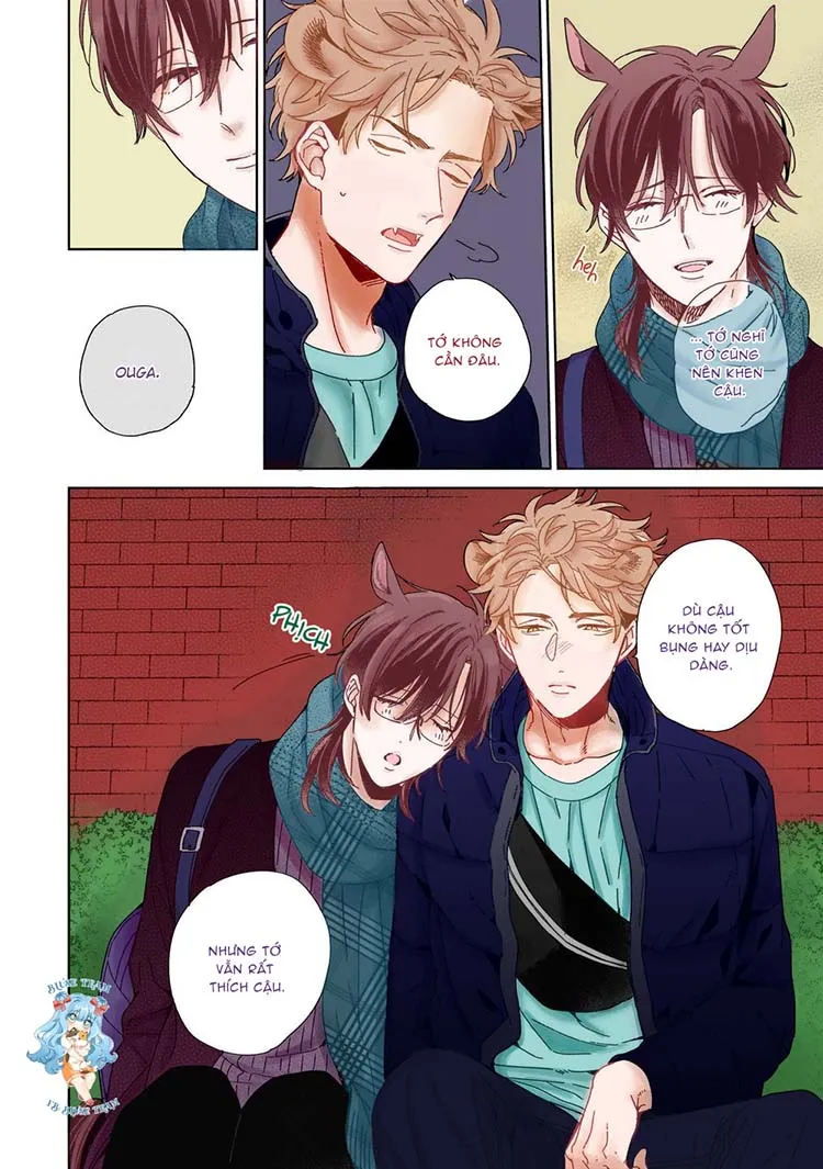 Full Ngựa Thuần Chủng Sẽ Không Từ Bỏ Chapter 5 Trang 11