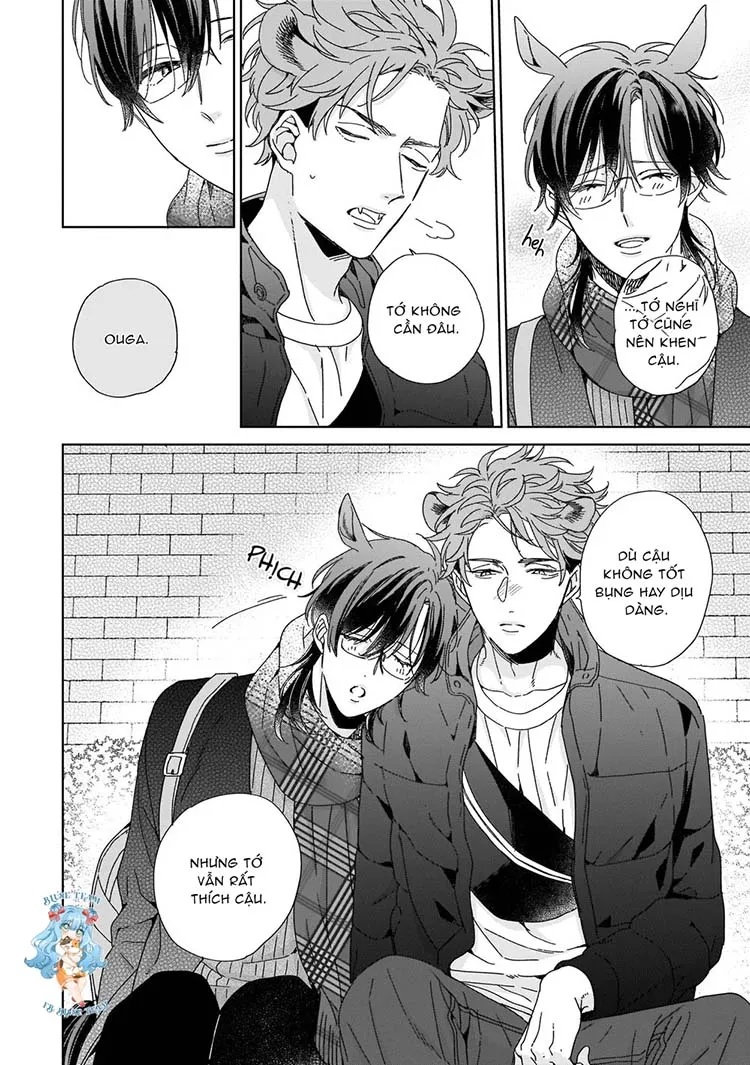 Full Ngựa Thuần Chủng Sẽ Không Từ Bỏ Chapter 5 Trang 12