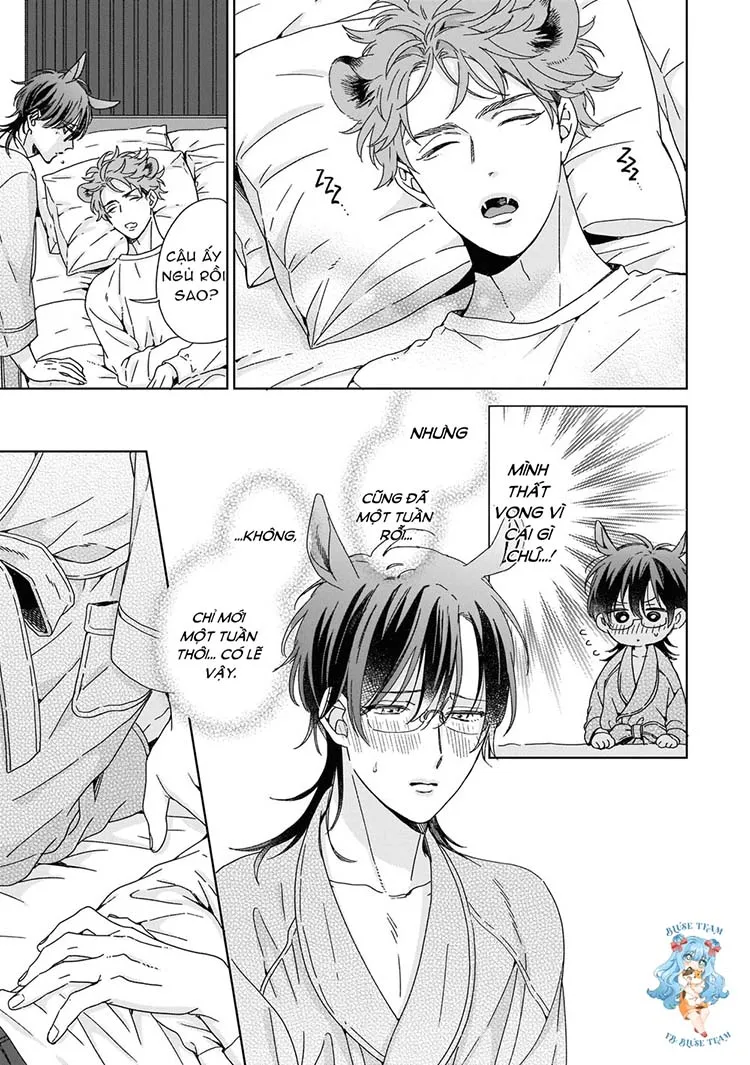 Full Ngựa Thuần Chủng Sẽ Không Từ Bỏ Chapter 5 Trang 19