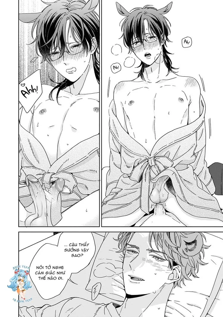 Full Ngựa Thuần Chủng Sẽ Không Từ Bỏ Chapter 5 Trang 26