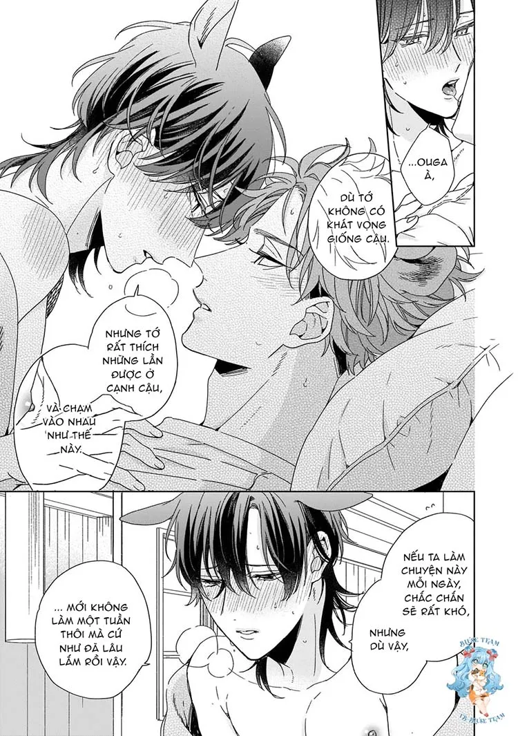 Full Ngựa Thuần Chủng Sẽ Không Từ Bỏ Chapter 5 Trang 31