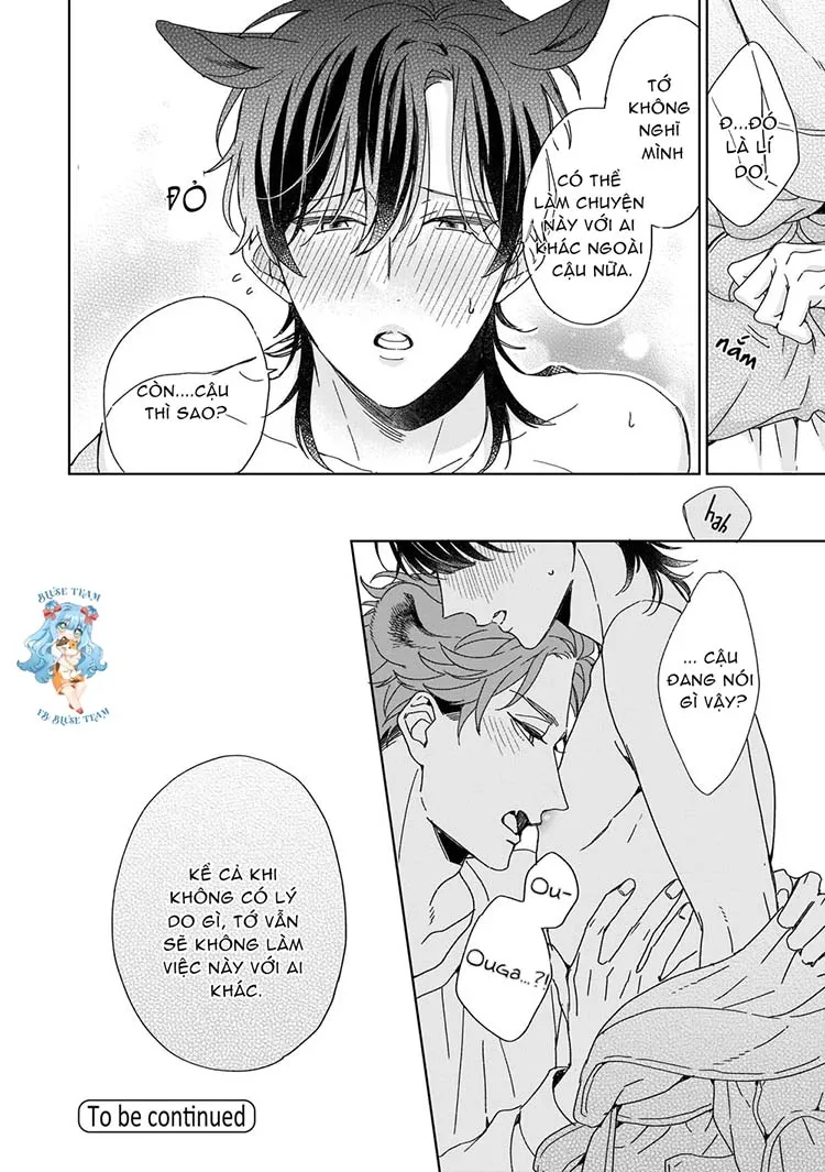 Full Ngựa Thuần Chủng Sẽ Không Từ Bỏ Chapter 5 Trang 32