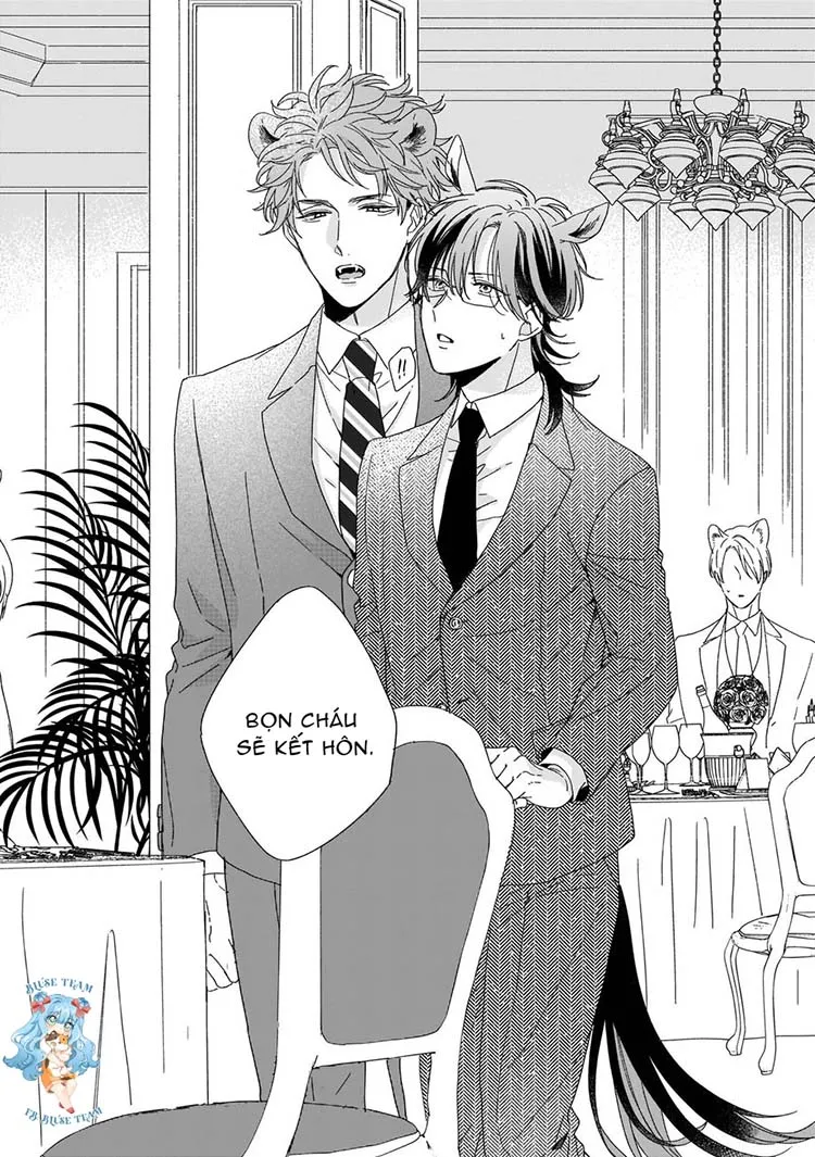 Full Ngựa Thuần Chủng Sẽ Không Từ Bỏ Chapter 6 Trang 20