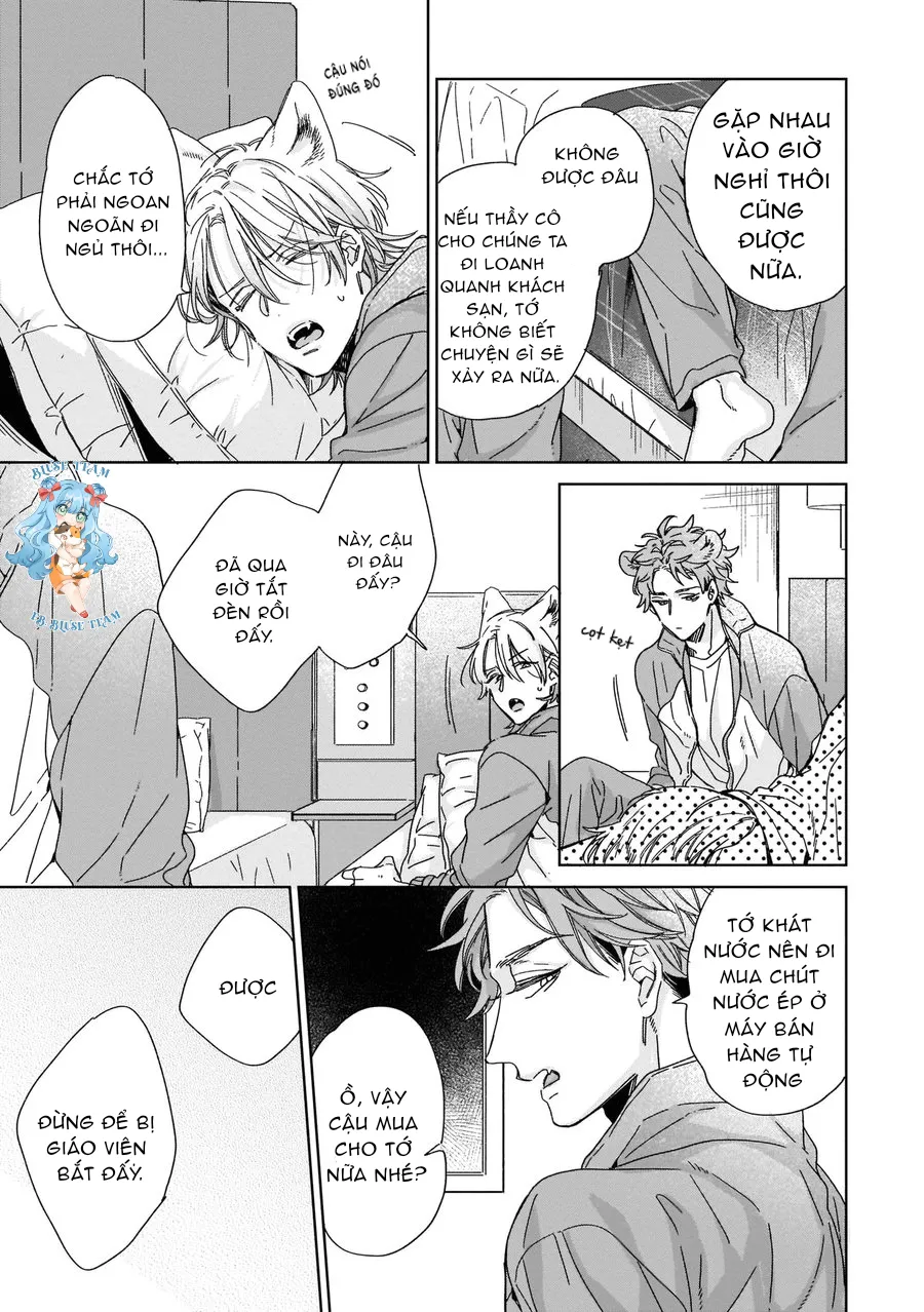 Full Ngựa Thuần Chủng Sẽ Không Từ Bỏ Chapter 1 Trang 17