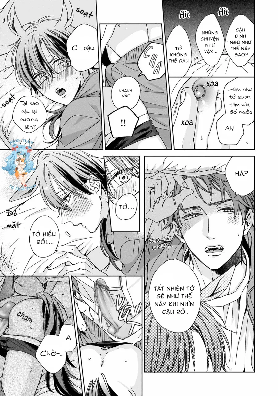 Full Ngựa Thuần Chủng Sẽ Không Từ Bỏ Chapter 1 Trang 33