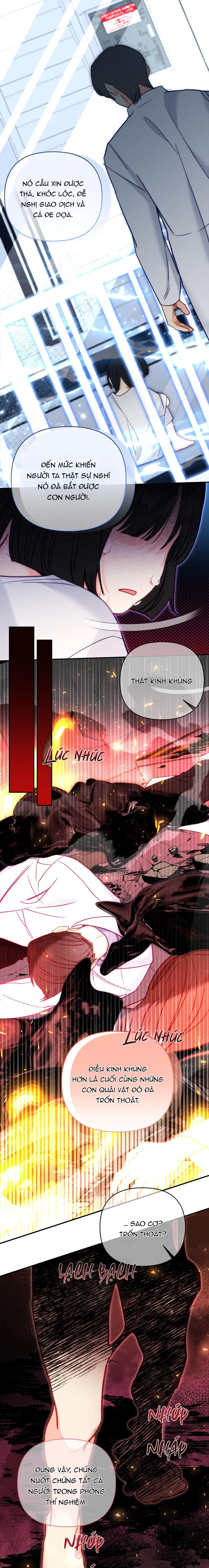 Người bình thường cấp A Chapter 51 Trang 10