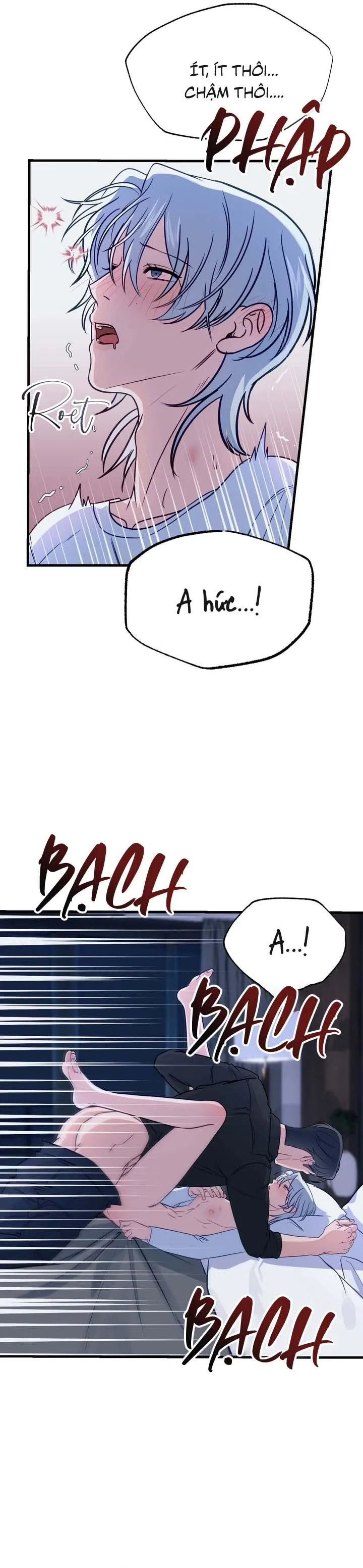 Người Cá Biến Mất Chapter 4 Trang 12