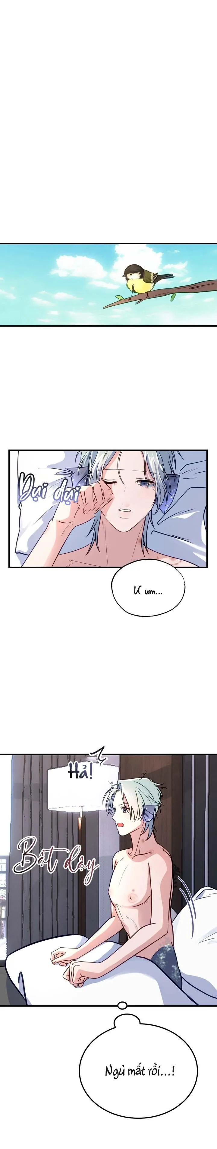 Người Cá Biến Mất Chapter 4 Trang 14