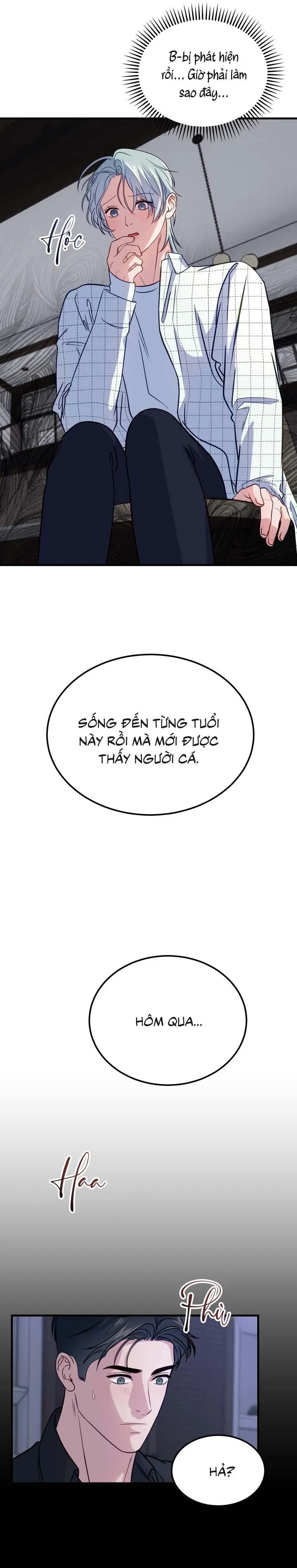 Người Cá Biến Mất Chapter 4 Trang 21