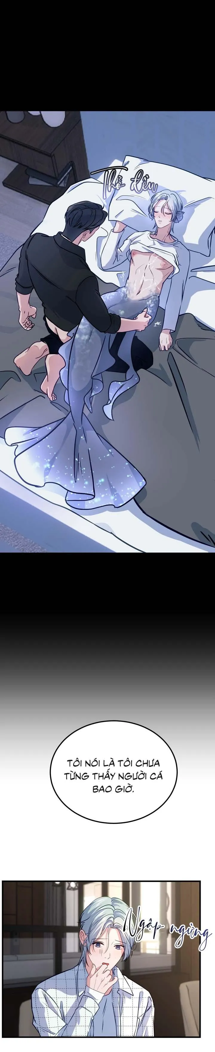 Người Cá Biến Mất Chapter 4 Trang 23