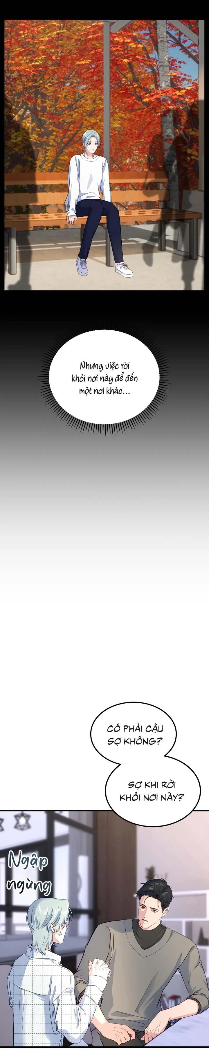 Người Cá Biến Mất Chapter 5 Trang 4