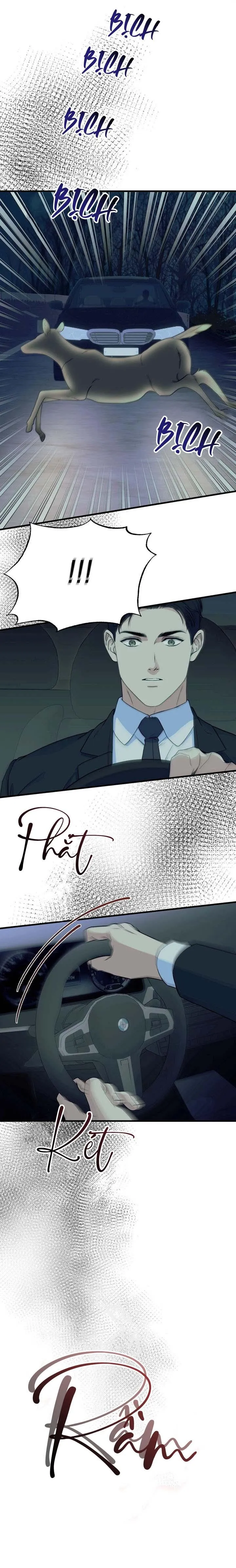 Người Cá Biến Mất Chapter 6 Trang 26