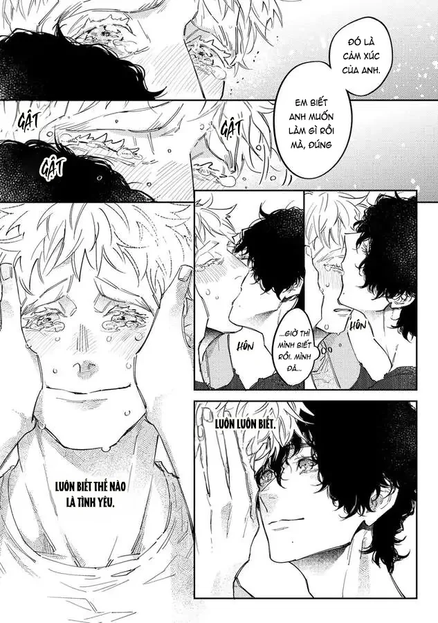 Người Chồng Ngoại Quốc Mít Ướt Của Tôi Chapter 6 Trang 11